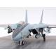 Grumman® F-14A Tomcat™ (Late Model) Carrier Launch Set