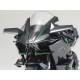 Kawasaki Ninja H2 Carbon