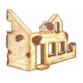 MAISON DE CAMPAGNE EN RUINE 