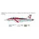 F/A-18F Super Hornet U.S. Navy Special Colors