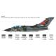 Tornado IDS