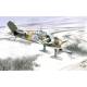 Fokker D.XXI "4.Sarja with Wasp Junior Engine"