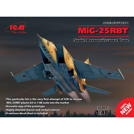 MiG-25 RBT  Soviet Reconnaissance Plane