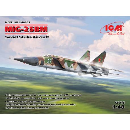 MiG-25 BM  Soviet Strike Aircraft
