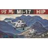 Mi-17 HIP