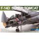 F-14D Super Tomcat Special Edition