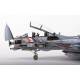 F-14D Super Tomcat Special Edition