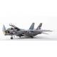 F-14D Super Tomcat Special Edition