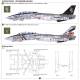 F-14D Super Tomcat Special Edition