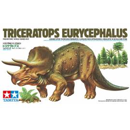 Triceratops Eurycephalus