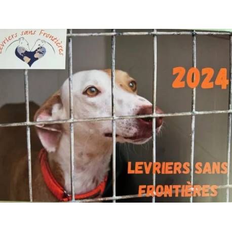 Calendrier Lévriers sans frontières