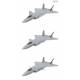 Chinese J-20 Stealth Fighter