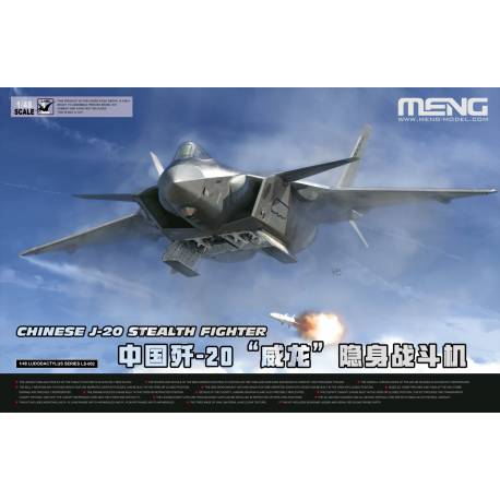 Chinese J-20 Stealth Fighter