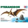 Pteranodon