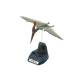 Pteranodon