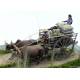 60's-70's Vietnamese Farmer Cattle Cart