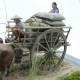 60's-70's Vietnamese Farmer Cattle Cart