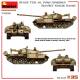IRAQI T-55 AL FAW/ENIGMA. SOVIET MADE BASE
