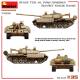 IRAQI T-55 AL FAW/ENIGMA. SOVIET MADE BASE
