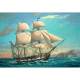 H.M.S. Beagle Darwins Historic Discovery Barque
