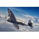 Republic P-47C-2 Thunderbolt