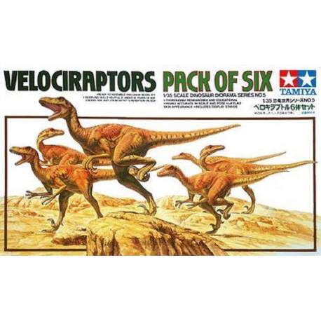 Velociraptors Pack of Six
