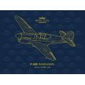 P-40E Warhawk Royal Class Dual Combo