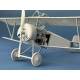 Nieuport XI Late