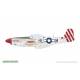 P-51D-5 Mustang Weekend Edition