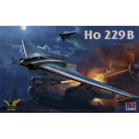 Ho 229B