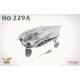 Ho 229A