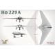 Ho 229A
