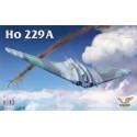 Ho 229A