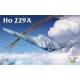 Ho 229A