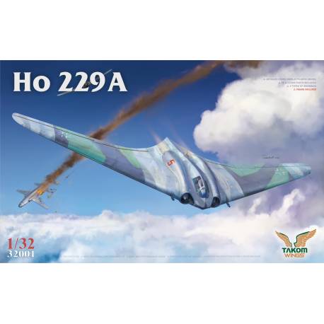 Ho 229A