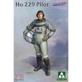 Ho 229 Pilot