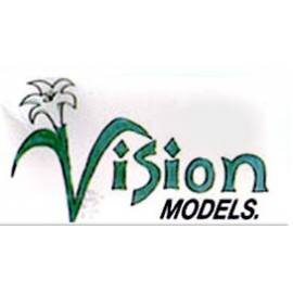 VISION MODELS