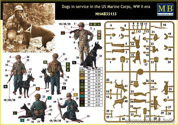Dogs in service in the US Marine Corps, WWII – Image 2