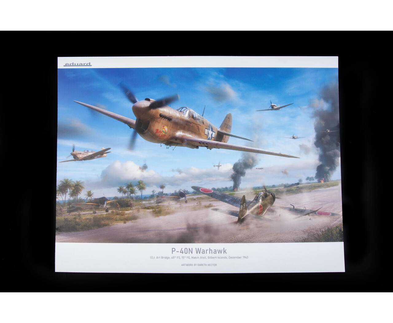 P-40N WARHAWK ROYAL CLASS DUAL COMBO – Image 13