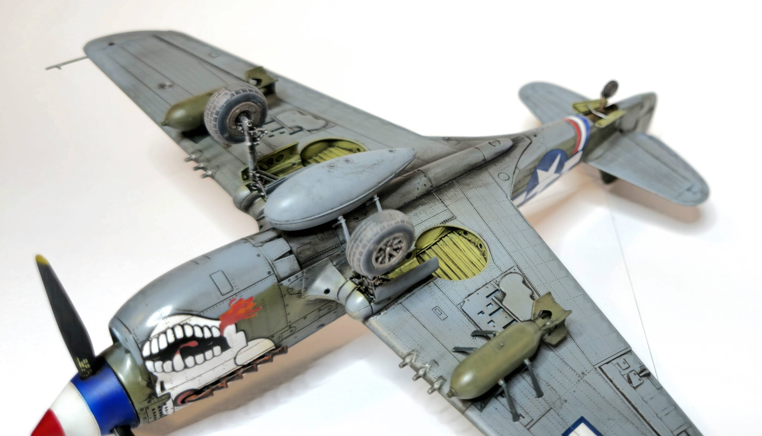 P-40N WARHAWK ROYAL CLASS DUAL COMBO – Image 29