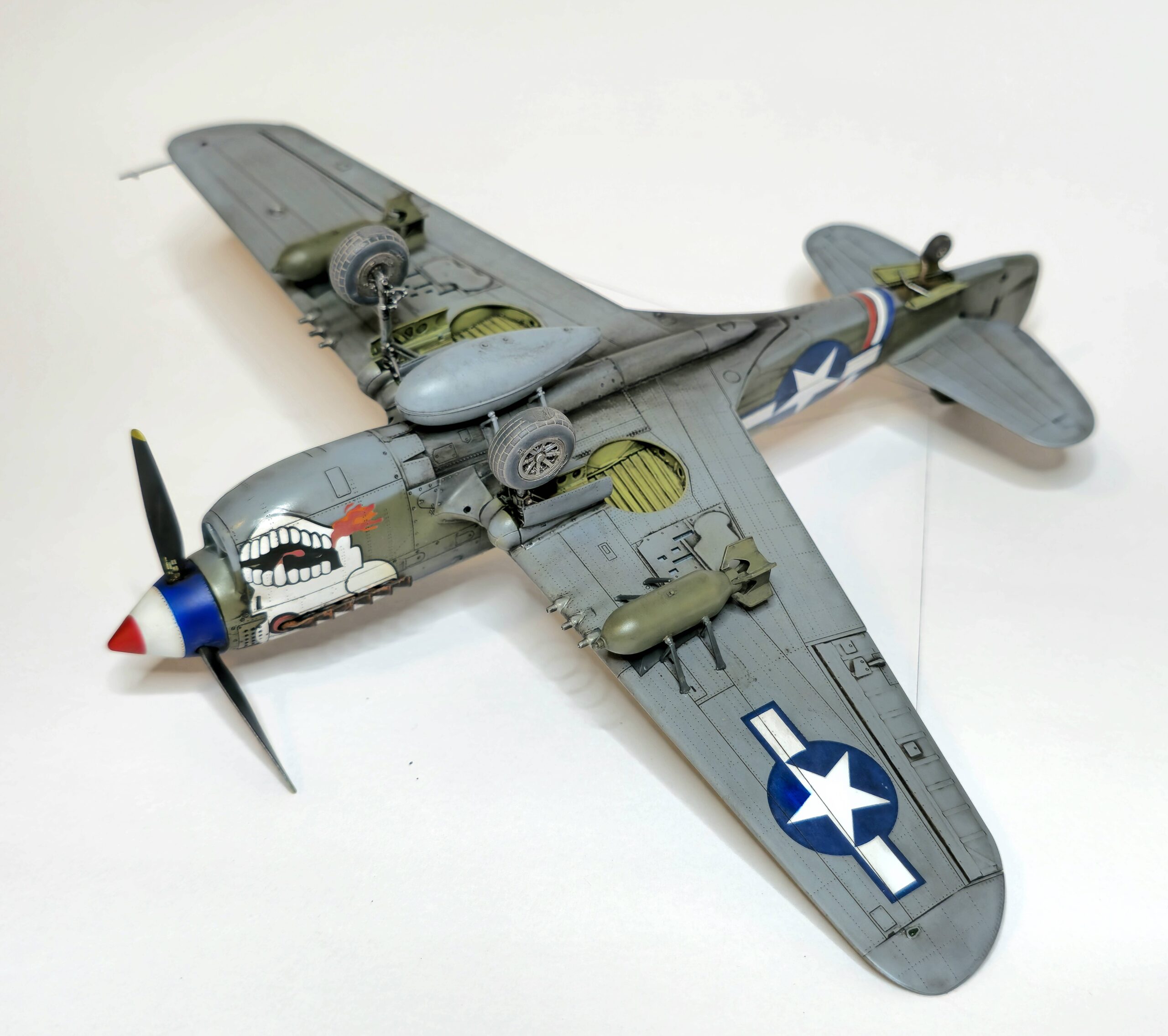P-40N WARHAWK ROYAL CLASS DUAL COMBO – Image 30