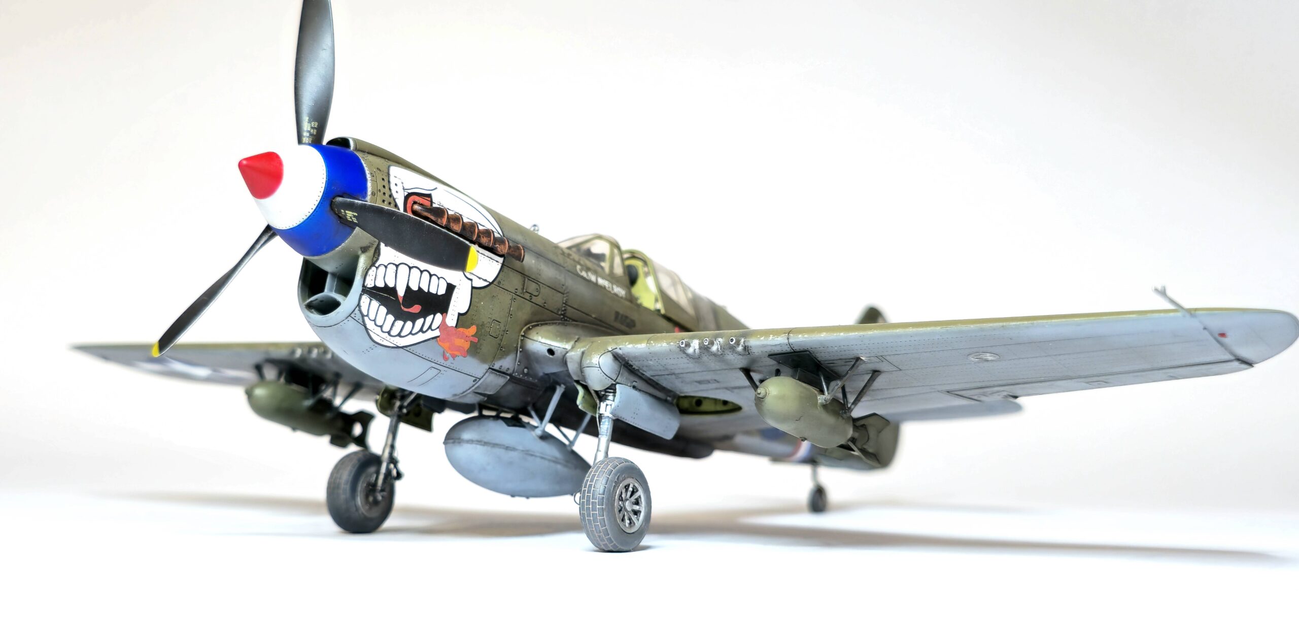 P-40N WARHAWK ROYAL CLASS DUAL COMBO – Image 32