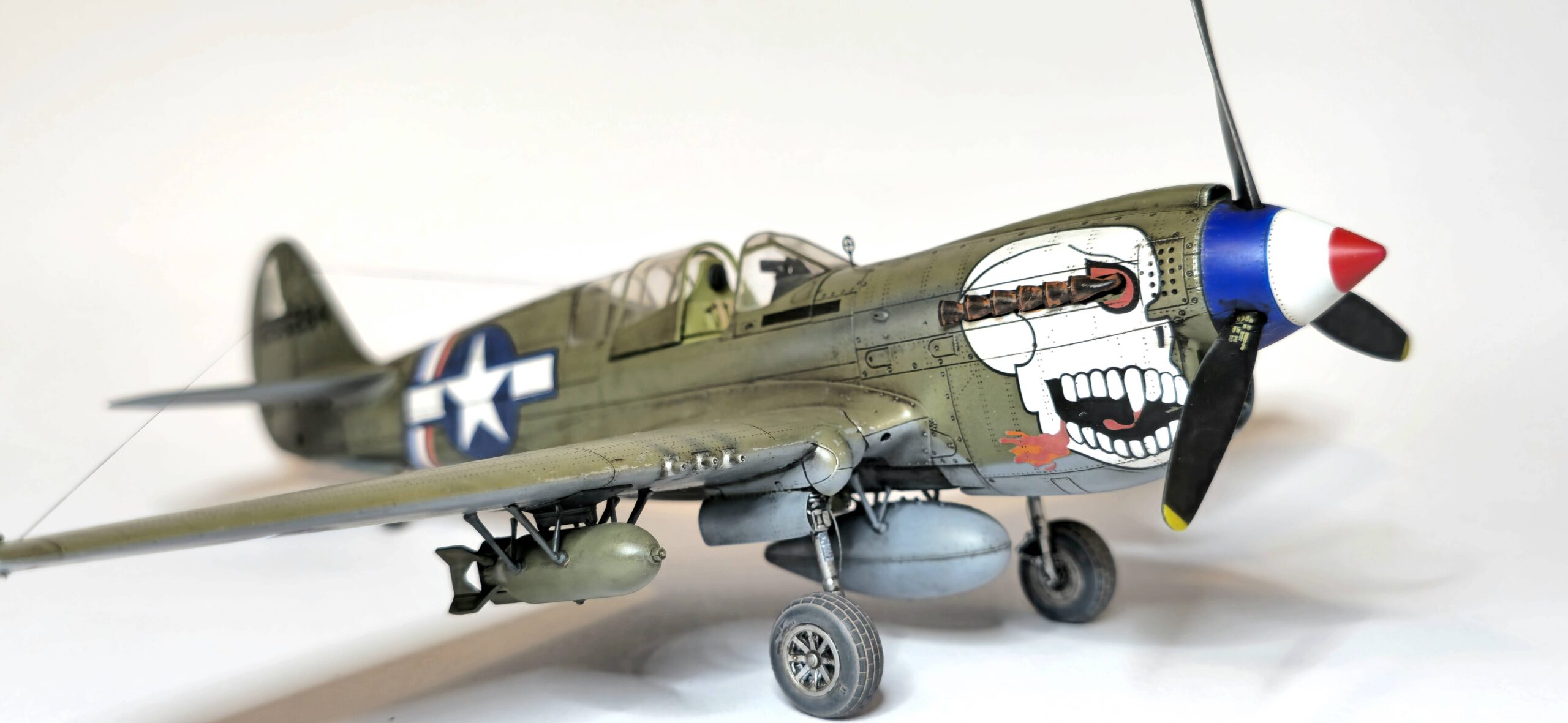P-40N WARHAWK ROYAL CLASS DUAL COMBO – Image 34