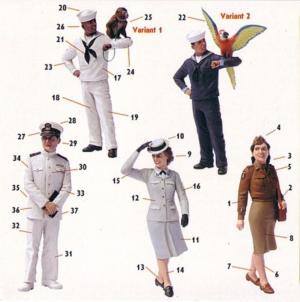 "Women at War" US Navy WAVES – Image 3