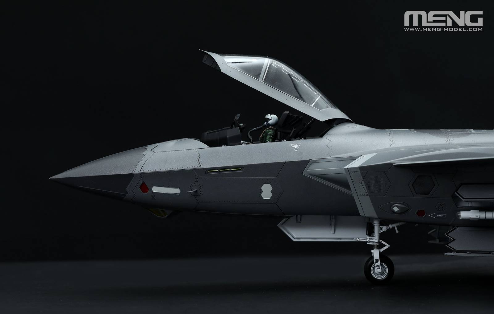 CHINESE J-20 STEALTH FIGHTER BEAST MODE – Image 8