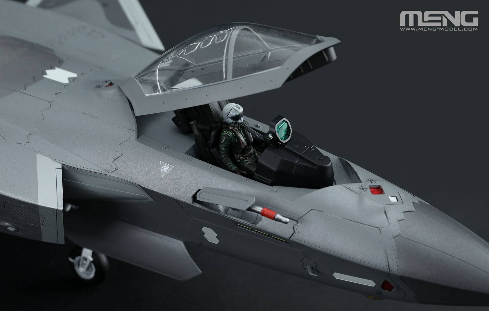 CHINESE J-20 STEALTH FIGHTER BEAST MODE – Image 9