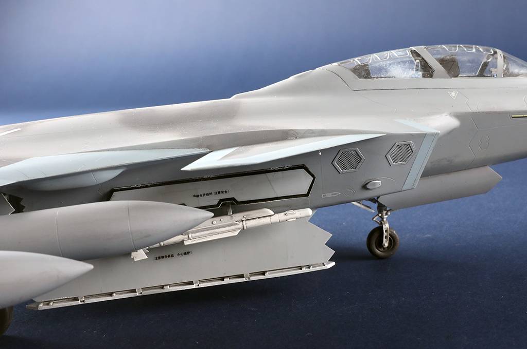 Chinese J-20S Mighty Dragon – Image 7