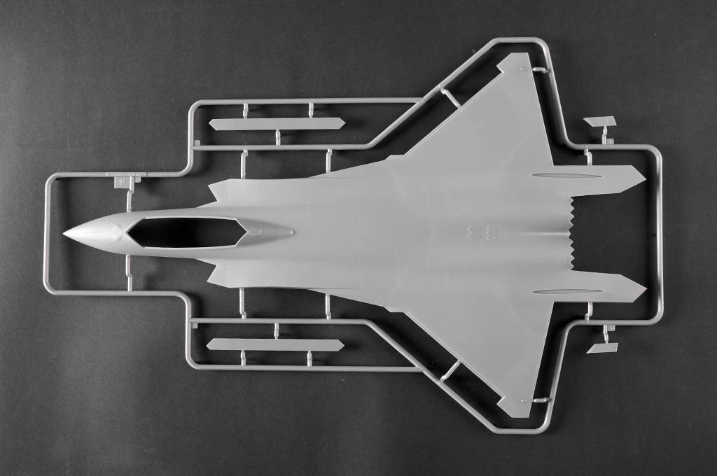 Chinese J-20S Mighty Dragon – Image 22