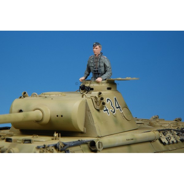 Waffen SS Panzer Officer – Image 5