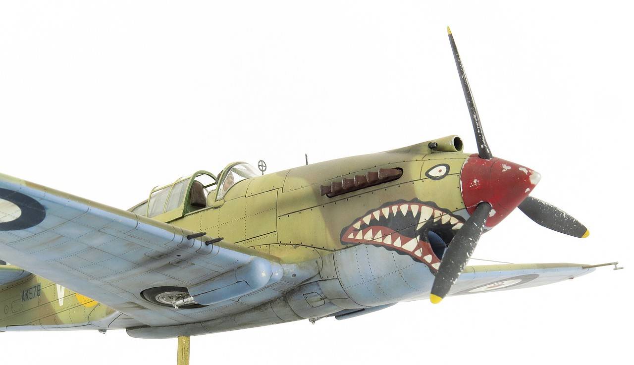 Curtiss 'Tomahawk' Mk.II B Fighter (The British Commonwealth Air Forces) – Image 7